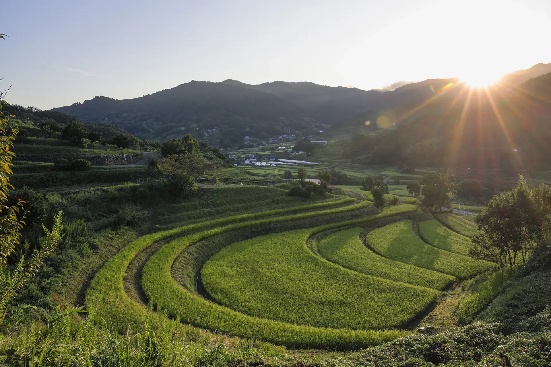 里山・農業体験エリア